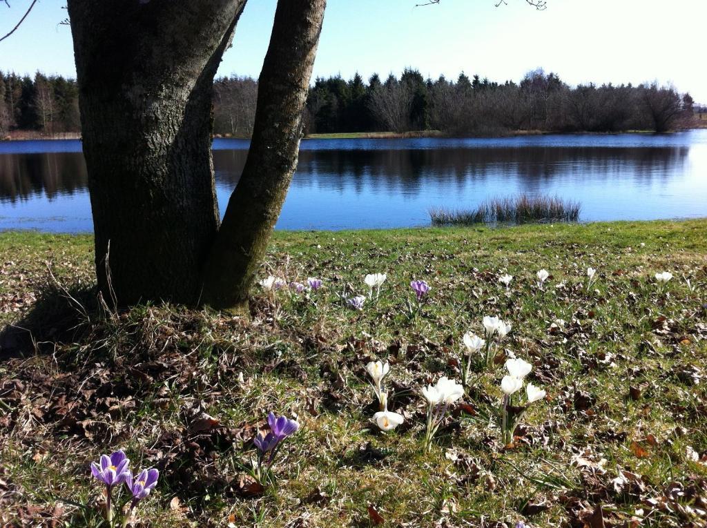 Tollundgaard Golf Park & Apartments Funder Kirkeby Eksteriør bilde